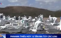 Panama tiêu hủy 13 tấn ma túy các loại