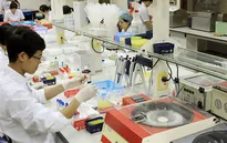 Việt Nam có hơn 10 triệu người mang gen bệnh tan máu bẩm sinh