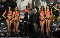 4 Tecate Ring Girl nóng bỏng thiêu đốt sàn đầu Mayweather – Pacquiao