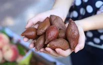 Bán mây Thái, hàng rong Hà Nội hét giá gấp đôi