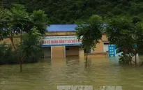 Hải Phòng: Kịp thời cứu 13 thuyền viên gặp nạn trên biển do mưa lớn