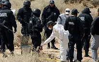 Mexico giải cứu 130 người di cư bị bắt cóc