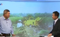 Ngành mía đường: Đột phá để hội nhập