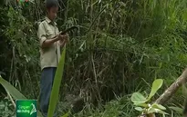 Hai học trò nghèo bươn chải kiếm sống nuôi gia đình