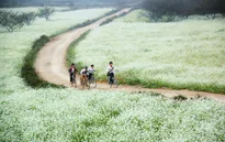 Mộc Châu sắp trở thành khu du lịch mang tầm quốc gia