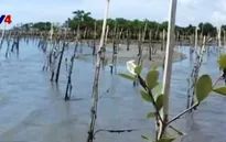 WB sẽ đồng hành cùng Việt Nam giảm nguy cơ biến đổi khí hậu