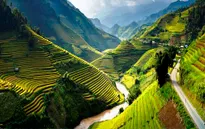 Cơ hội cho ngành du lịch Việt Nam từ việc miễn thị thực