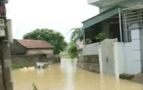 Mưa lũ vẫn diễn biến phức tạp tại Quảng Ninh