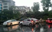 Thót tim với trận dông lốc chiều 13/6  tại Hà Nội