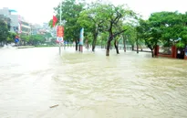 Mưa lớn kéo dài, Quảng Ninh tiếp tục sạt lở tại nhiều khu vực