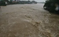 Mưa lớn gây nhiều thiệt hại về người và tài sản tại Nam Trung Bộ