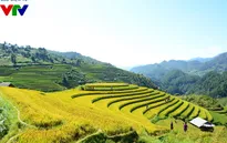 Mù Cang Chải đẹp quyến rũ những ngày mùa đầu thu