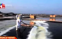 Muối biển mặt trời - Đặc sản mới của đất nước Hàn Quốc