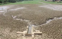 Quảng Trị: Nắng hạn kéo dài, 7.000 ha cây trồng bị ảnh hưởng