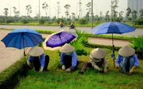 Lao động nghèo oằn mình mưu sinh giữa trời nắng nóng
