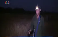 Nông dân Nghệ An gặp khó khăn vì nắng nóng kinh hoàng