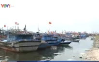 Nghị định 67: Cần tiếng nói chung giữa ngân hàng và ngư dân