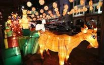 Không khí Giao thừa 2015 trên Quốc đảo Sư tử