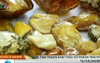 Khai thác hổ phách trái phép gia tăng tại Kaliningrad, Nga
