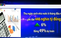 Thu ngân sách Nhà nước đạt 446.000 tỷ đồng