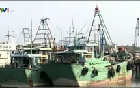 Nỗ lực đưa ngư dân bị Indonesia bắt giữ về nước dịp Tết Nguyên đán