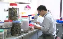 Thu hút nhà khoa học trẻ: Cần chính sách đãi ngộ tốt