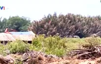 TP.HCM: Bán hàng trăm nền nhà... trên giấy