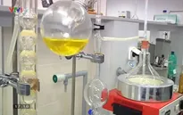 Sản xuất nhiên liệu sinh học từ sản phẩm thuộc da