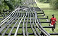 Kinh tế Nigieria - Nạn nhân của giá dầu giảm