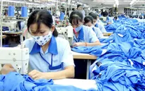 Doanh nghiệp nợ tiền bảo hiểm có thể bị xử lý hình sự