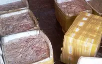 Ninh Bình: Thu giữ hơn 5 tạ nội tạng động vật và 12 cá thể động vật hoang dã