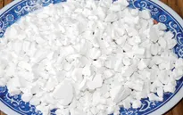 7 bài thuốc phòng say nắng, say nóng