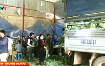 Nông dân chưa quyết định được giá nông sản