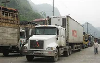 Nguy cơ thiệt hại hàng nghìn tấn nông sản