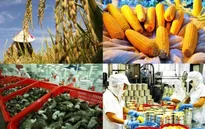 Arab Saudi từ chối nhập khẩu nông, thủy sản Việt Nam
