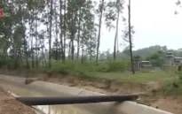 Quảng Nam: Nguồn nước gần nghĩa trang bị ô nhiễm nghiêm trọng