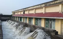 Rút ngắn thời gian lấy nước đợt 3 vụ Đông Xuân