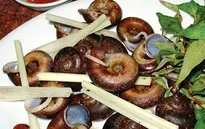 Ốc Xu núi Bà - Đặc sản riêng có của Tây Ninh