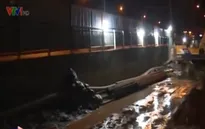 TP. HCM: Gấp rút thi công những công trình chống ngập
