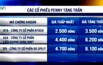 Các cổ phiếu penny tăng trần