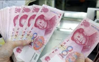 Thị trường châu Âu lo ngại về đồng NDT xuống giá
