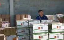 Kiểm tra đột xuất kho hàng nghi nhập khẩu phân bón giả tại Đăk Lăk
