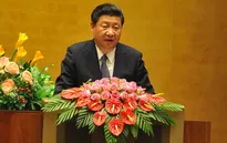 "Việt Nam - Trung Quốc cần xuất phát từ đại cục để giải quyết bất đồng"