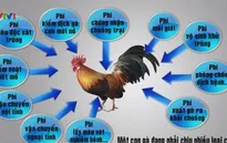 Phí và lệ phí có xu hướng tăng thêm