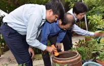 Bình Định cấp thêm 5 tỷ đồng phòng chống sốt xuất huyết