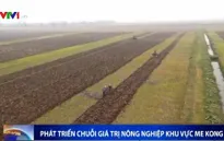 Phát triển chuỗi giá trị nông nghiệp tiểu vùng Mekong