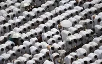Giẫm đạp tại Thánh địa Mecca, it nhất 310 người thiệt mạng