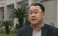 "Quyết định dừng chặt cây chỉ có thể xoa dịu bức xúc của nhân dân"