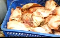 Bình Dương thanh tra hàng loạt bếp ăn trường học sau vụ thịt bẩn
