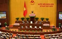 TRỰC TIẾP: Các phiên chất vấn của Quốc hội